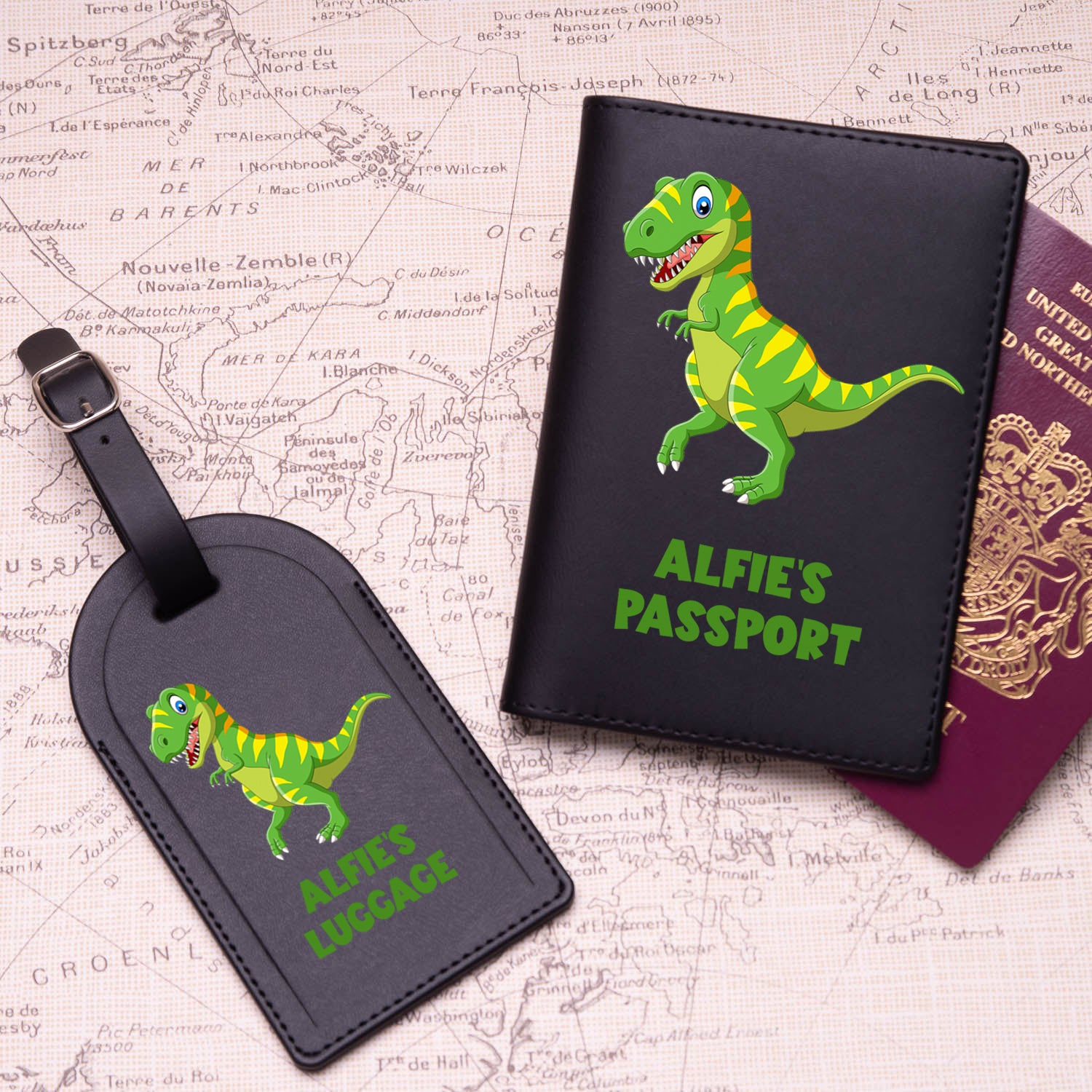 Personalised Dinosaur Passport Holder & Luggage Tag Set