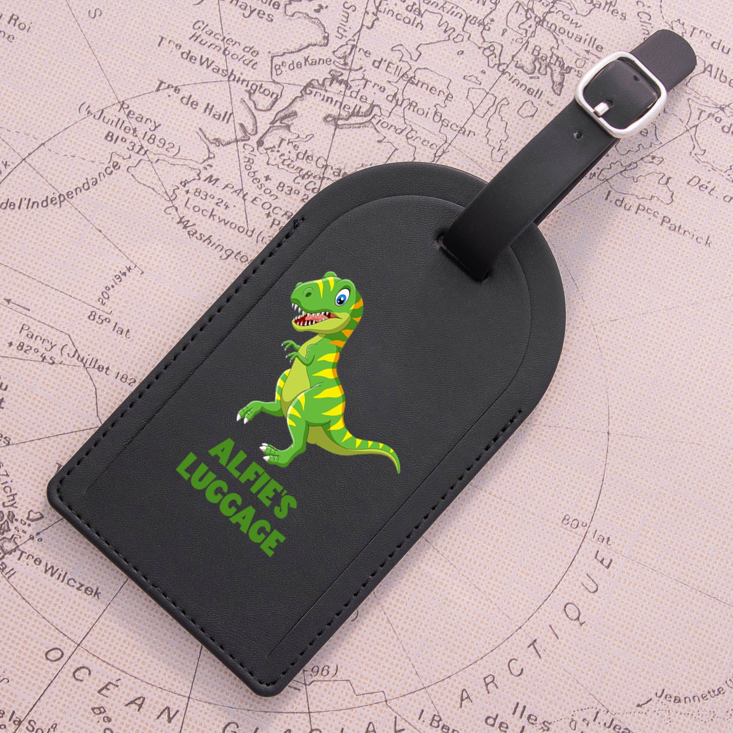 Personalised Dinosaur Passport Holder & Luggage Tag Set
