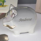 Personalised Name Silver Pig Money Box - Money Boxes